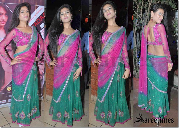 Net_Saree