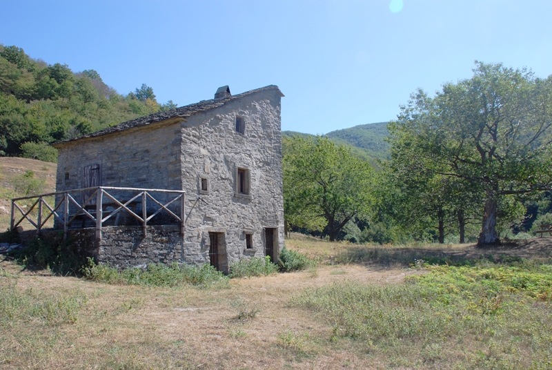 [19Rif.Sassello2.jpg]