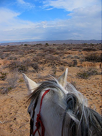 [IMG_9515%255B5%255D.jpg]