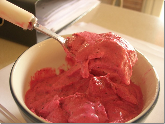 gelato senza gelatiera panna gelato senza gelatiera panna