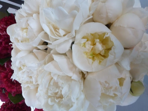 Perfect peonies.