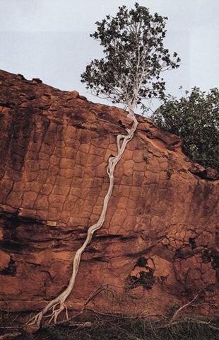 [viral-picdump-pics-52%255B2%255D.jpg]