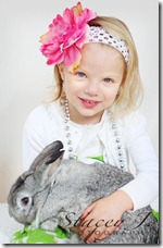 bunny 005 copy