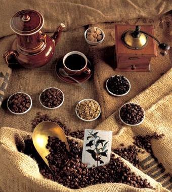 [evolu%25C3%25A7%25C3%25A3o%2520do%2520cafezinho%255B2%255D.jpg]