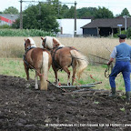 graanoogst-09-041.jpg