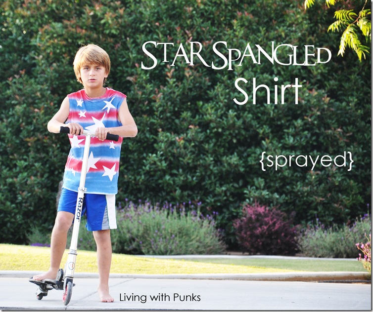 starsandstripes-header2 starsandstripes-header2