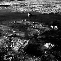 Frozen-Puddles