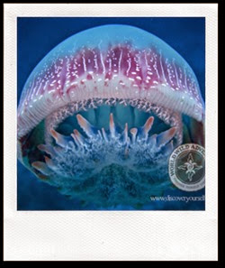 (c)Worldwildadventures-0053 (c)Worldwildadventures-0053