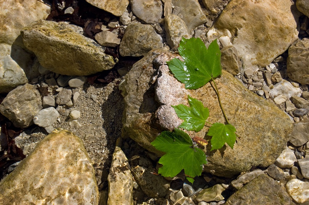 [DSC_48774.jpg]