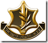 Idf_logo4 Idf_logo4