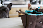 The drawstring closure can store dry food for later use, and a side pocket offers additional storage for treats.   We LOVE that aspect!