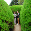 Hedges - Ellisfield Farm.jpg Hedges - Ellisfield Farm.jpg