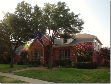 5.  Trimmed Trees in front