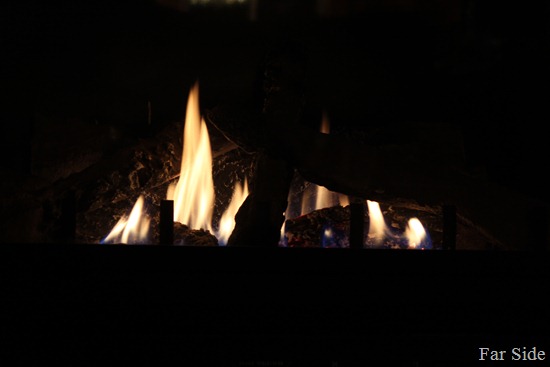 IMG_5272 IMG_5272