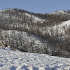 DSC_5175.jpg
