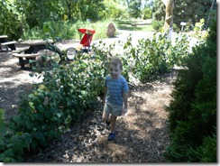 2011-08-22 Caelun at the children's garden 002
