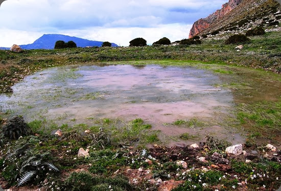 Riserva-Naturale-Orientata-Monte-Cofano-2