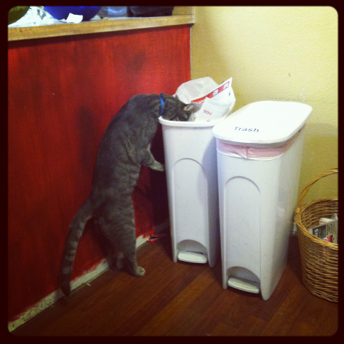 Halvsies Trash