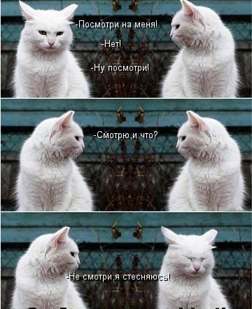 [86492876_1164487%255B5%255D.jpg]