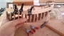 mayflower_006.jpg