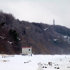 PC243083 [640x480].JPG