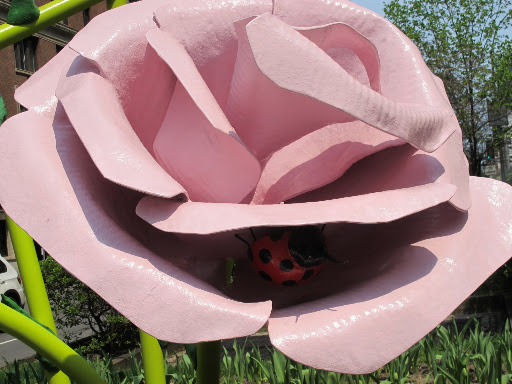 The colossal blossoms begin at 57th and Park.