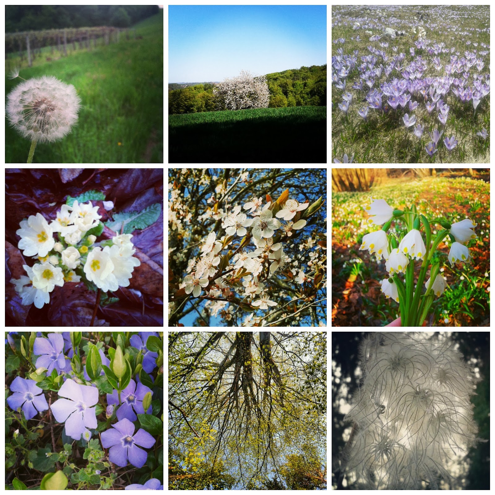 [365%2520walks%2520collage%2520%25282%2529%255B2%255D.jpg]