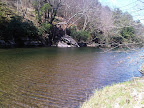 IMG00046-20100412-1041.jpg