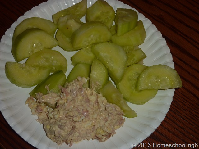 Tuna Salad Tuna Salad