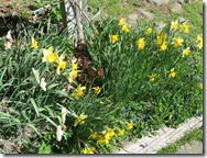 IMG_3752 IMG_3752
