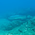 20090808_uw_573_068