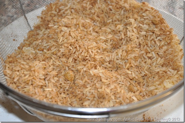 Arabic Style Rice Stuffing Recipe by www.dish-away.com