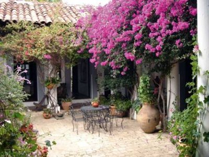Decoración de jardines y patios fotos ~ Diseño y Decoracion de Jardines