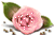 [50x33-rose-TR%255B6%255D.gif]