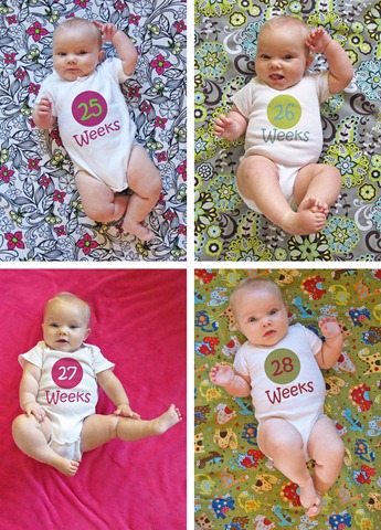 [Nora%2520Weeks%252025%2520thru%252028%2520collage%255B4%255D.jpg]