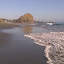 IMAG0220.jpg