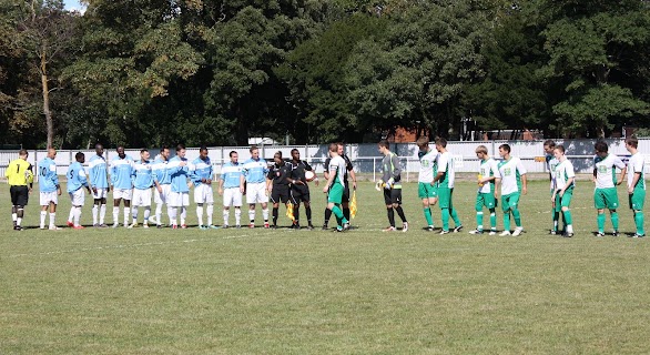 chi-fish20-8-11_005.jpg