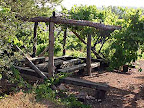 p1238559458(21).jpg