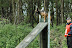Keuring mei 2010 peter,jan 007.jpg