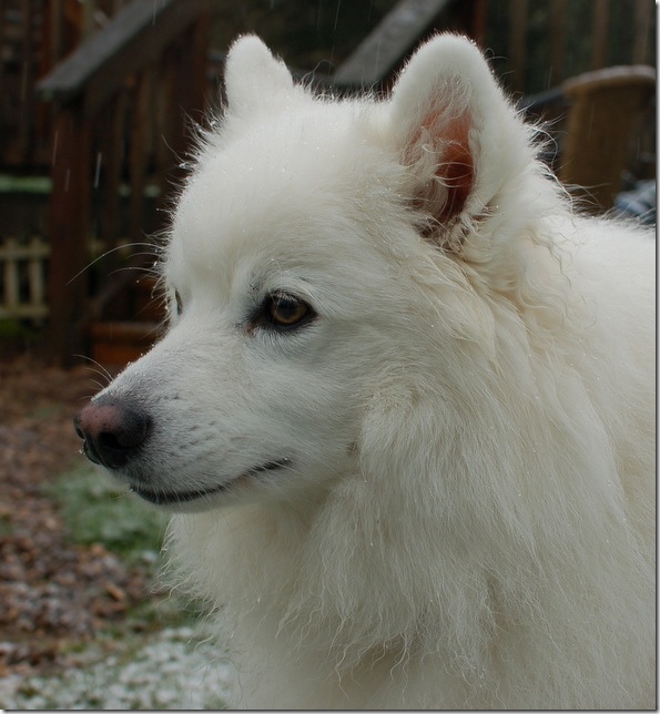 DSC_5533 DSC_5533