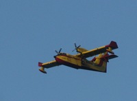 IMG_1758 IMG_1758