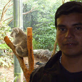P1000286.JPG