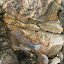 DSCN5716.JPG