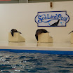 hokkaido_354.jpg