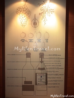Wine Museum 27 Wine Museum 27