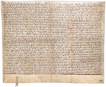 MagnaCarta