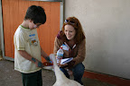 Thankfully, Alexa had the full support of the adults in her family, who agreed to keep Elf from going to auction. They, too, had grown attached to him as had the family dogs, who loved to play with him. Thankfully, Alexa had the full support of the adults in her family, who agreed to keep Elf from going to auction. They, too, had grown attached to him as had the family dogs, who loved to play with him.