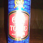 Gin Tonic aus der 0,5 Dose