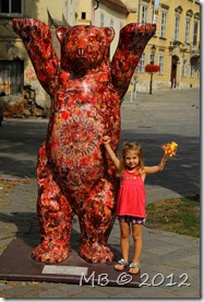 IMG_0233 IMG_0233