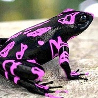 @10 curiosidades interessantes que provavelmente você não sabia @10 curiosidades interessantes que provavelmente você não sabia